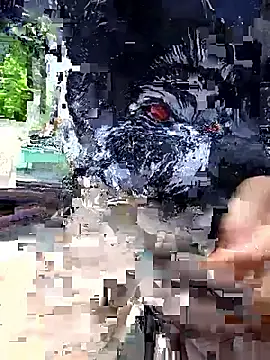 papi lover12 online show from May 2026 06:12:02 PM