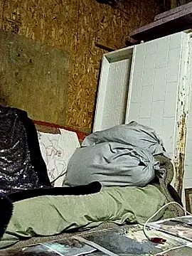 lilbishmiss online show from October 2025 11:50:01 PM