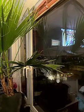 pillepallex84x online show from January 2026 04:54:02 PM