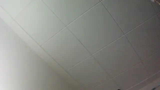 gorkamacbew online show from September 2025 02:00:02 AM