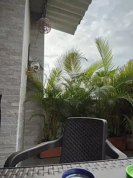 Laura fernandezII online show from February 2026 01:31:02 PM