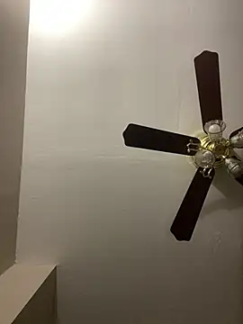 islandvybee55 online show from March 2026 12:48:02 AM