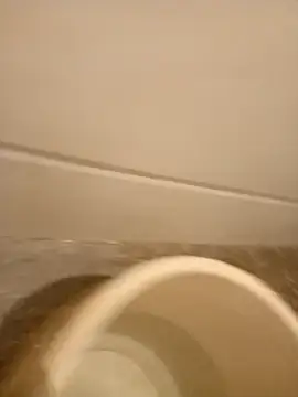 Snapshot of gym_lover076 chatting on January 2025 05:02:02 AM gym lover076 online show from January 2025 05:02:02 AM