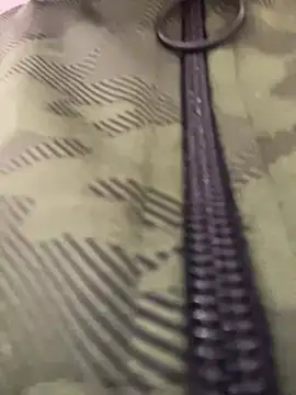 Snapshot of adahara19 chatting on December 2024 01:29:01 AM adahara19 online show from December 2024 01:29:01 AM