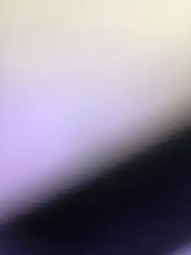 seloloko20 online show from March 2025 09:33:02 AM