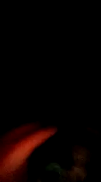 Snapshot of doggiepossession chatting on March 2025 02:45:02 PM doggiepossession online show from March 2025 02:45:02 PM