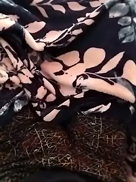 indian   fucker online show from September 2025 09:52:01 AM