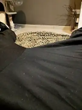 HotBoy6699 online show from February 2026 02:16:01 AM