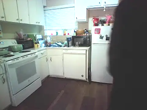 Snapshot of Big-Tits-McGee chatting on February 2025 04:29:01 PM Big-Tits-McGee online show from February 2025 04:29:01 PM