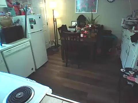 Snapshot of Big-Tits-McGee chatting on February 2025 06:10:02 PM Big-Tits-McGee online show from February 2025 06:10:02 PM