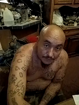 wilsons12 online show from November 2025 03:07:01 AM