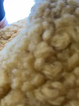 moneymaker taipei online show from February 2026 07:29:02 AM