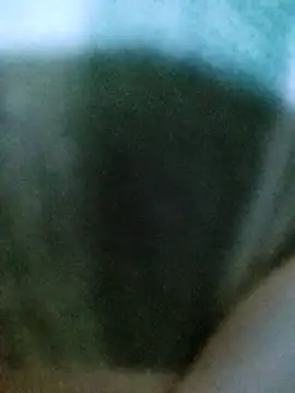 Snapshot of PayalSharmahot143 chatting on October 2025 11:06:01 AM PayalSharmahot143 online show from October 2025 11:06:01 AM