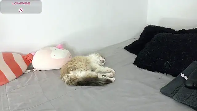 SophieBaker   online show from May 2026 02:16:01 AM