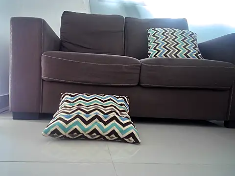 Snapshot of charlyporno22 chatting on February 2025 06:15:02 PM charlyporno22 online show from February 2025 06:15:02 PM