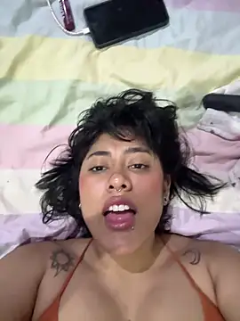 pawmistry online show from February 2026 05:23:01 AM