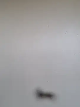 BriannaVincent online show from January 2026 04:59:01 AM