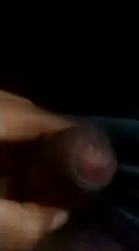 black panth99 online show from December 2024 01:49:01 AM