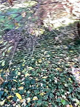 Lucascacaca online show from December 2024 02:04:01 PM