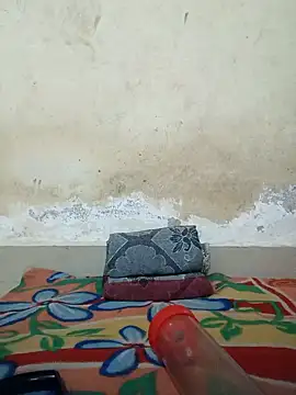 Snapshot of Newalcock chatting on February 2025 12:30:01 AM Newalcock online show from February 2025 12:30:01 AM