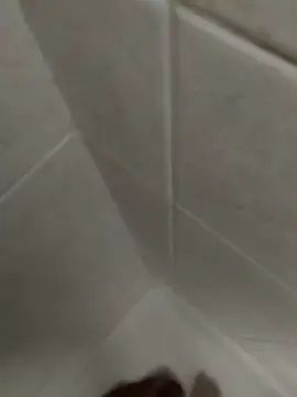 catopper0001 online show from November 2025 03:23:01 PM