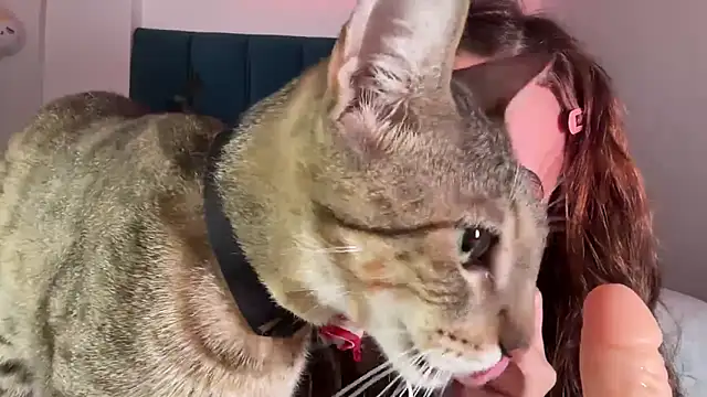 Snapshot of alice_guerin_ chatting on February 2026 06:26:01 AM alice guerin online show from February 2026 06:26:01 AM