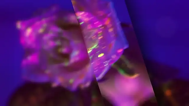 HeyBananas online show from October 2025 05:56:01 PM