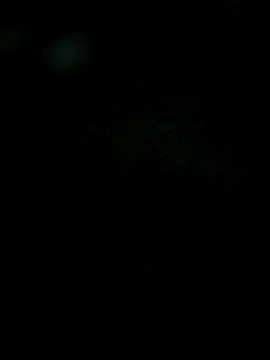 Karthik924 online show from February 2025 06:19:01 PM