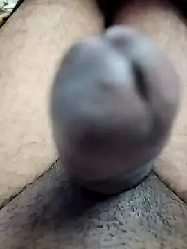 dick 01728 online show from January 2025 03:42:02 PM