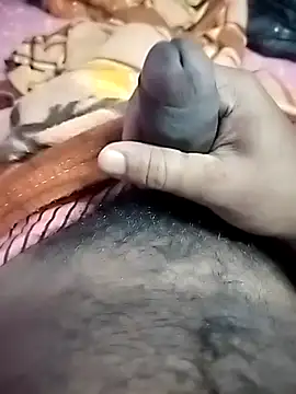 dick 01728 online show from November 2025 03:12:02 PM