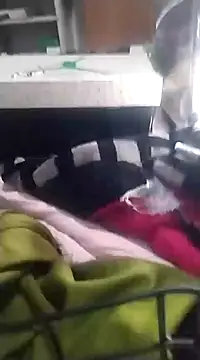 6MataGarcia online show from December 2024 01:50:02 AM