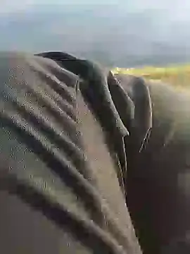 Snapshot of hexsmith96 chatting on December 2024 02:17:02 PM hexsmith96 online show from December 2024 02:17:02 PM