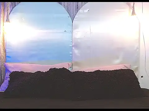 Snapshot of tylor_boy chatting on January 2026 04:26:01 AM tylor boy online show from January 2026 04:26:01 AM