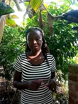 Snapshot of Black_juicy24 chatting on February 2025 06:13:02 AM Black juicy24 online show from February 2025 06:13:02 AM