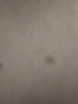 rohitlov150 online show from February 2025 06:12:01 PM