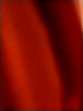 rohitlov150 online show from December 2025 04:24:01 PM