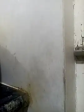 wildfox566 online show from March 2026 03:45:02 AM