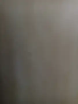 wildfox566 online show from March 2026 03:34:02 AM