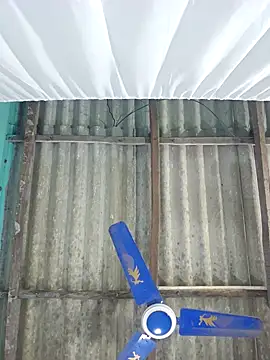 hotbaby 5 online show from September 2025 11:59:01 PM