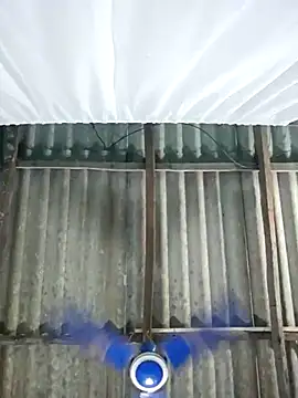 hotbaby 5 online show from November 2025 12:34:02 AM