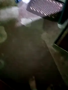 InboardHasek online show from December 2024 01:28:01 PM