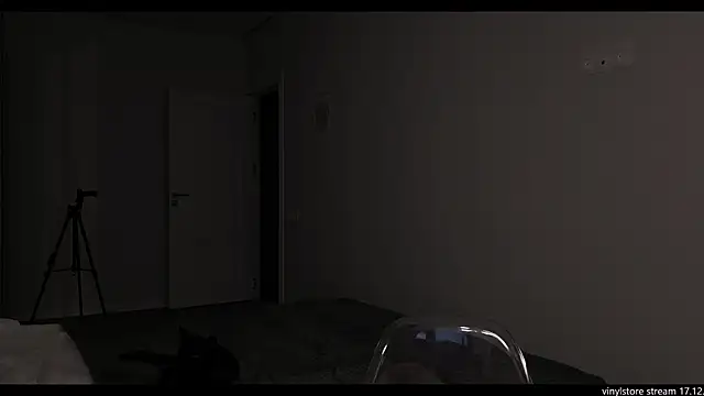 vinylstore online show from December 2025 05:19:02 PM