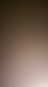 NewKing100 online show from December 2024 03:37:02 AM