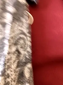 Snapshot of Ananya_34 chatting on December 2025 03:14:02 AM Ananya 34 online show from December 2025 03:14:02 AM