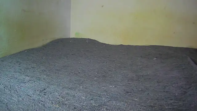 Snapshot of fern_tlk chatting on December 2024 08:21:02 PM fern tlk online show from December 2024 08:21:02 PM