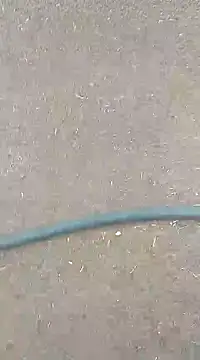 AuntyLover BhabhiLover  online show from February 2025 12:50:01 PM