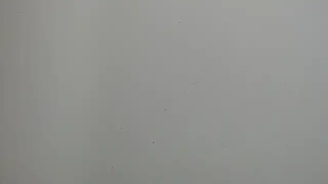 Snapshot of sussy_leon chatting on March 2025 12:25:02 PM sussy leon online show from March 2025 12:25:02 PM