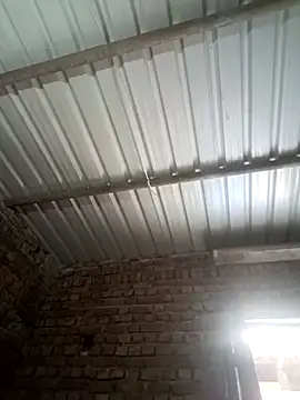 Shubu 76 online show from September 2025 06:02:02 AM