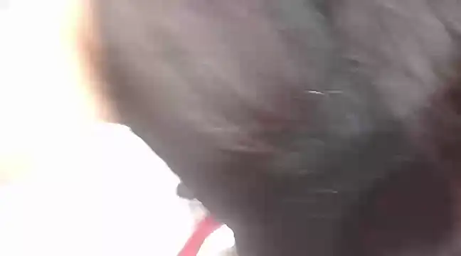 viki mom online show from January 2025 10:08:02 PM