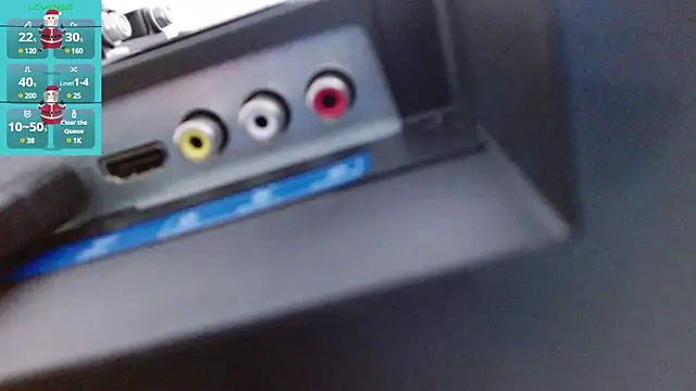 Snapshot of Aurora_blossom__ chatting on January 2025 12:19:01 PM Aurora blossom online show from January 2025 12:19:01 PM